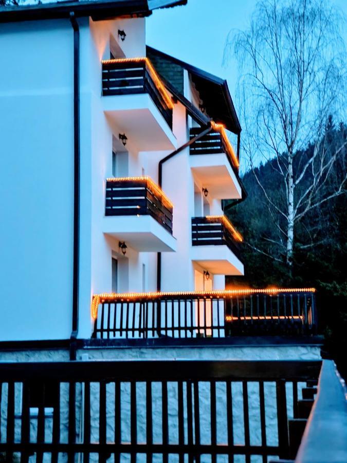 Tache Villa 1 Poiana Brasov Buitenkant foto